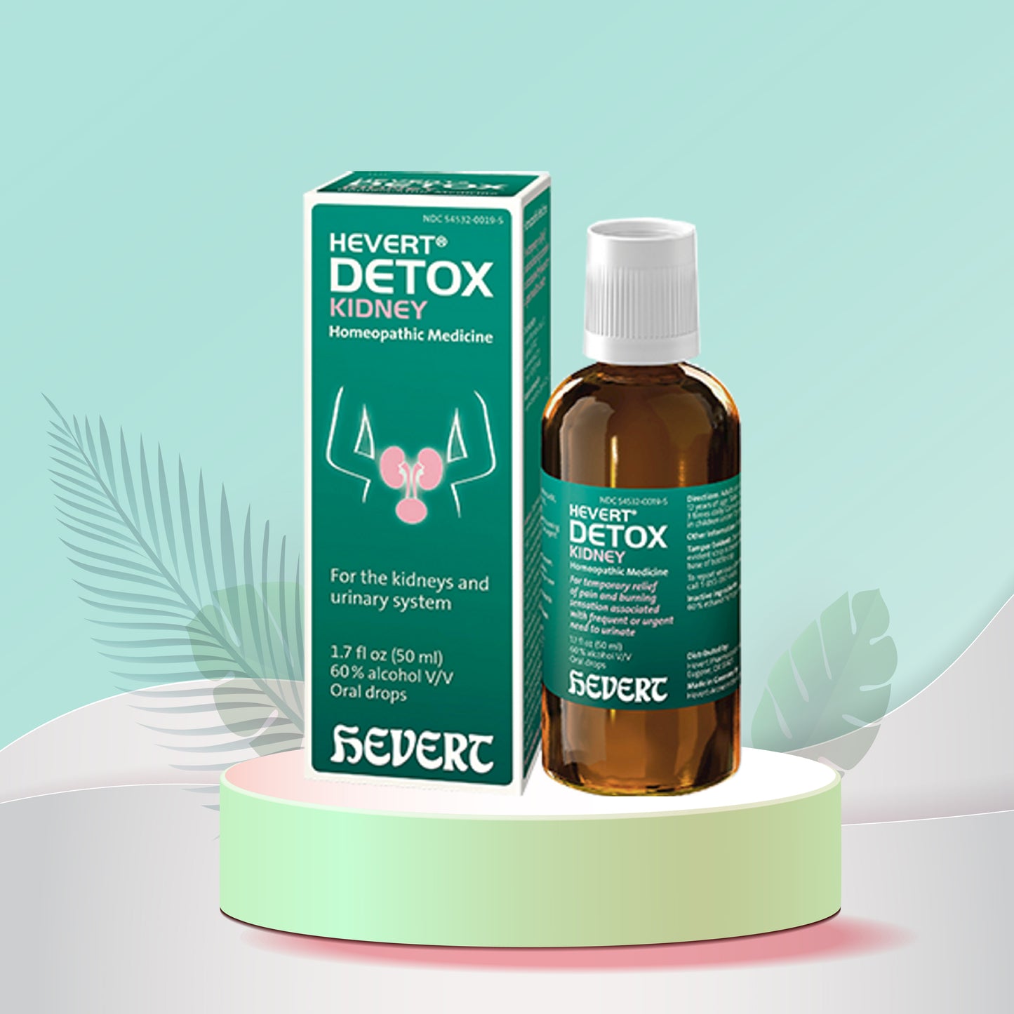 HEVERT DETOX KIDNEY