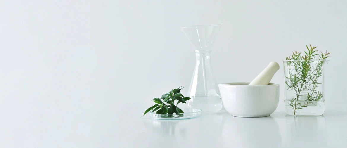 Detox Kit