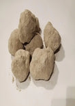 Acidum nitricum D6