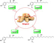 Thereof gingerols – 2.5mg