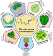 Thereof sulforaphane – 20 mg